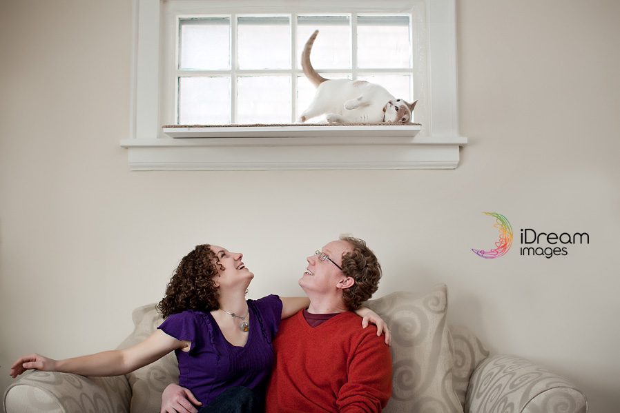 Cat in engagement photos