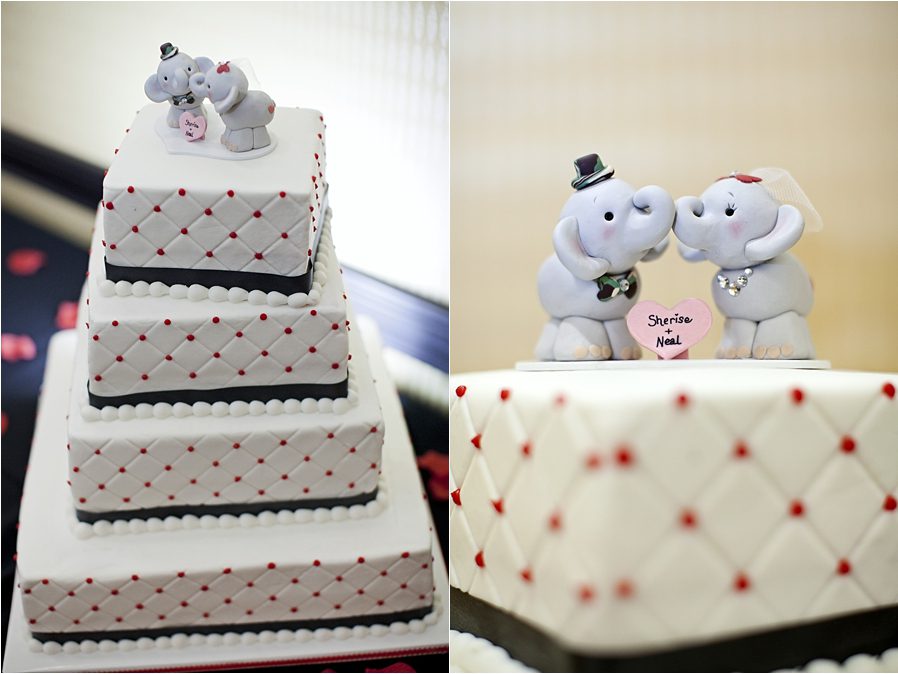 Ohio Wedding Photographer Best Ohio Wedding Photographers