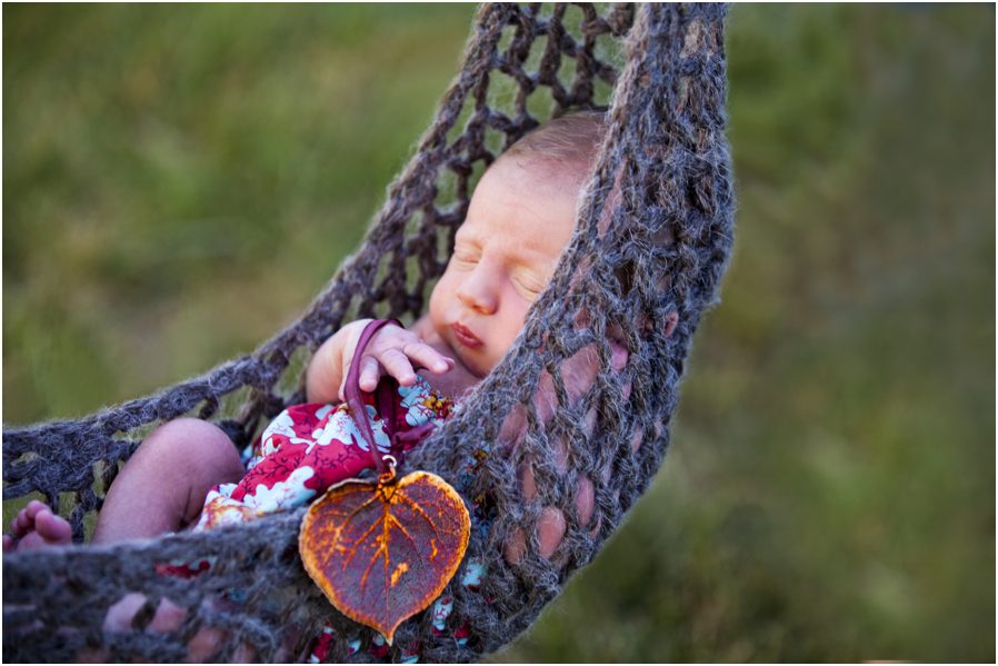 Chillicothe Ohio Childrens Photographer