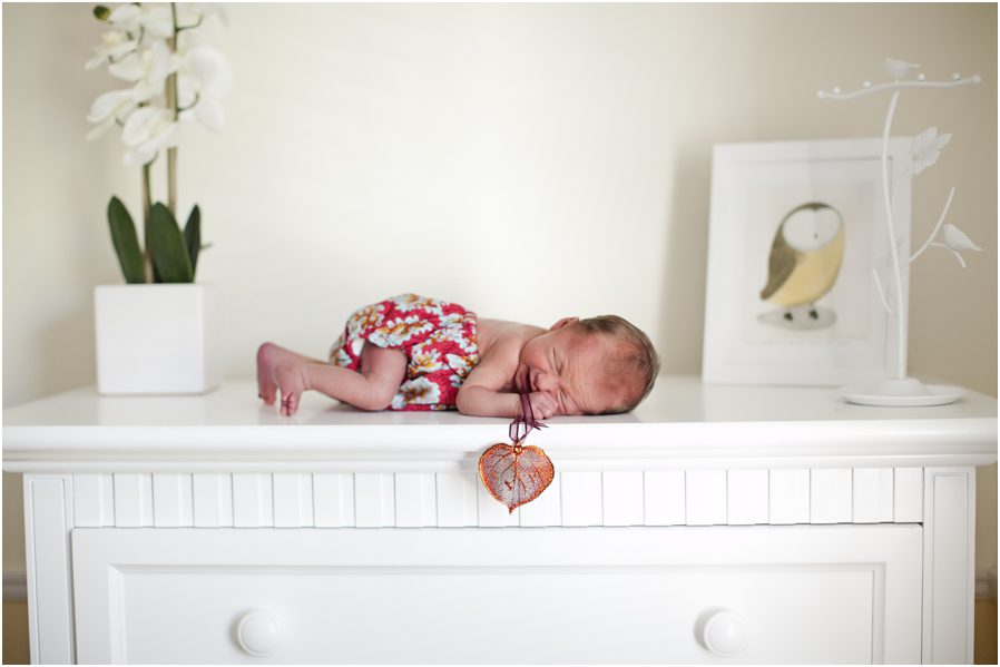 Chillicothe Ohio Newborn Photography