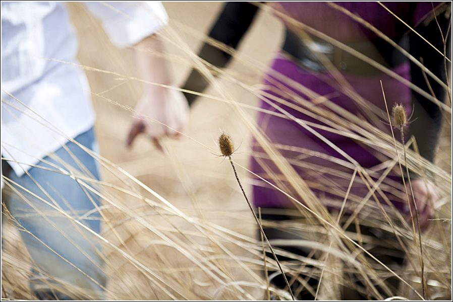 Ohio Family Photographer