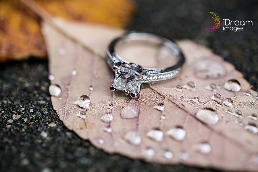 Columbus Ohio Wedding Photographer Columbus Ohio Wedding Photographer