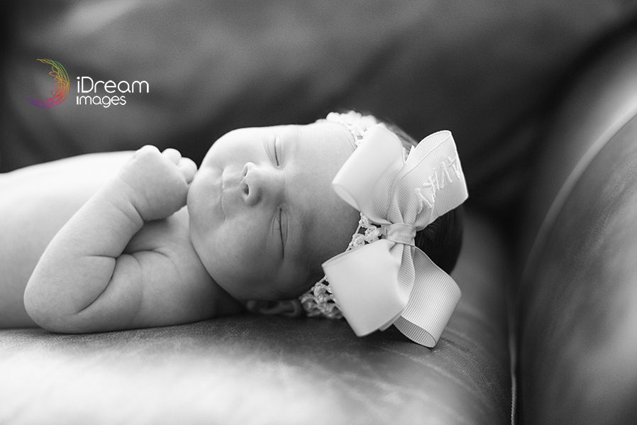 Chillicothe Ohio Photographers