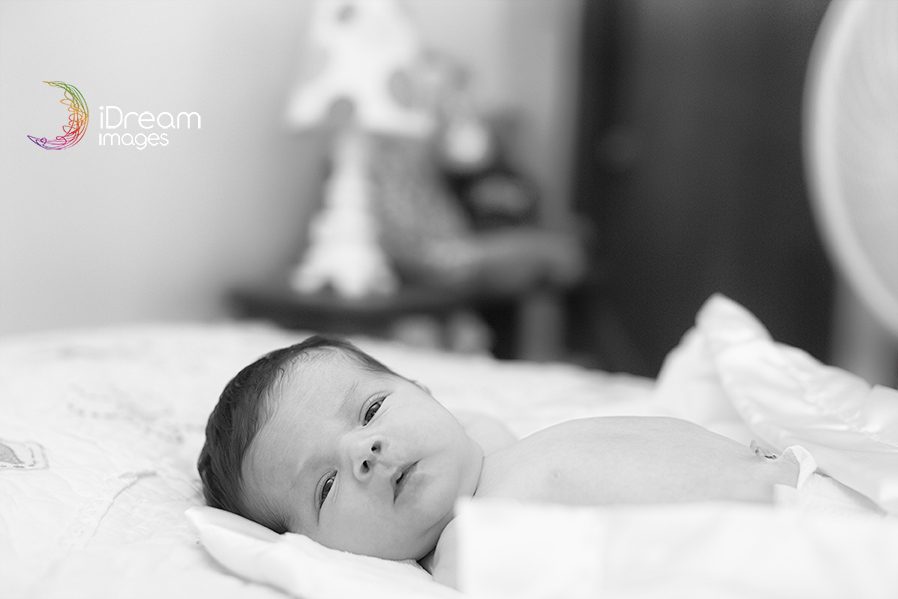 Chillicothe Ohio Photographers