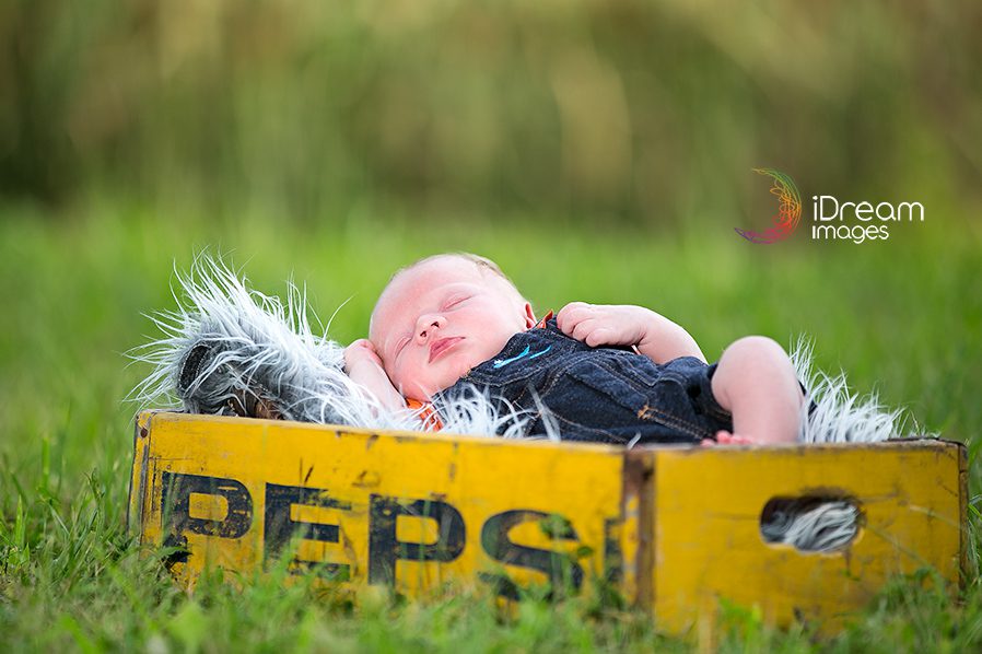 iDream Images