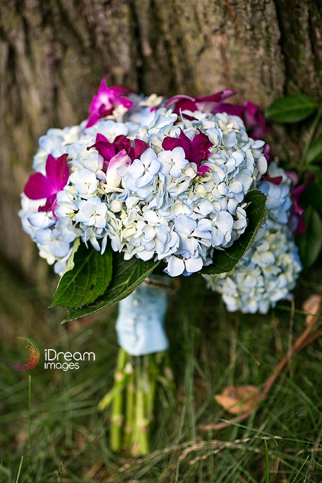 Ohio Wedding Photographer