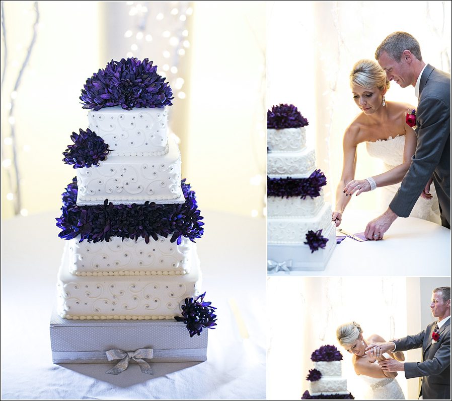 Columbus Ohio Wedding Photographer