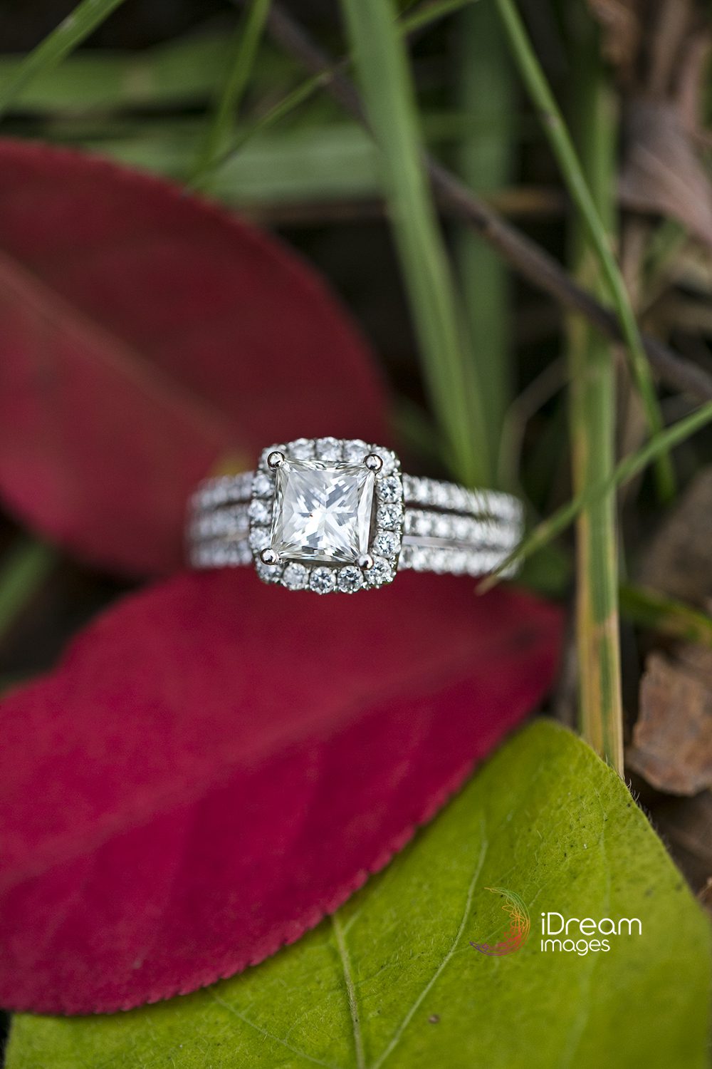 Chillicothe Wedding Photographer