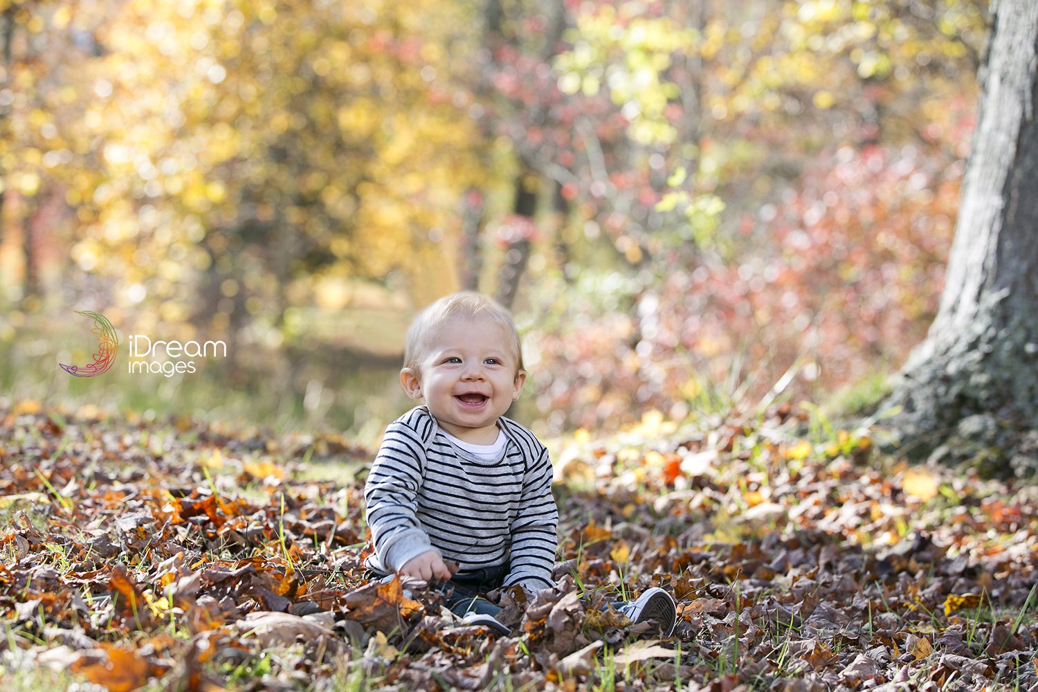Chillicothe Ohio Photographer