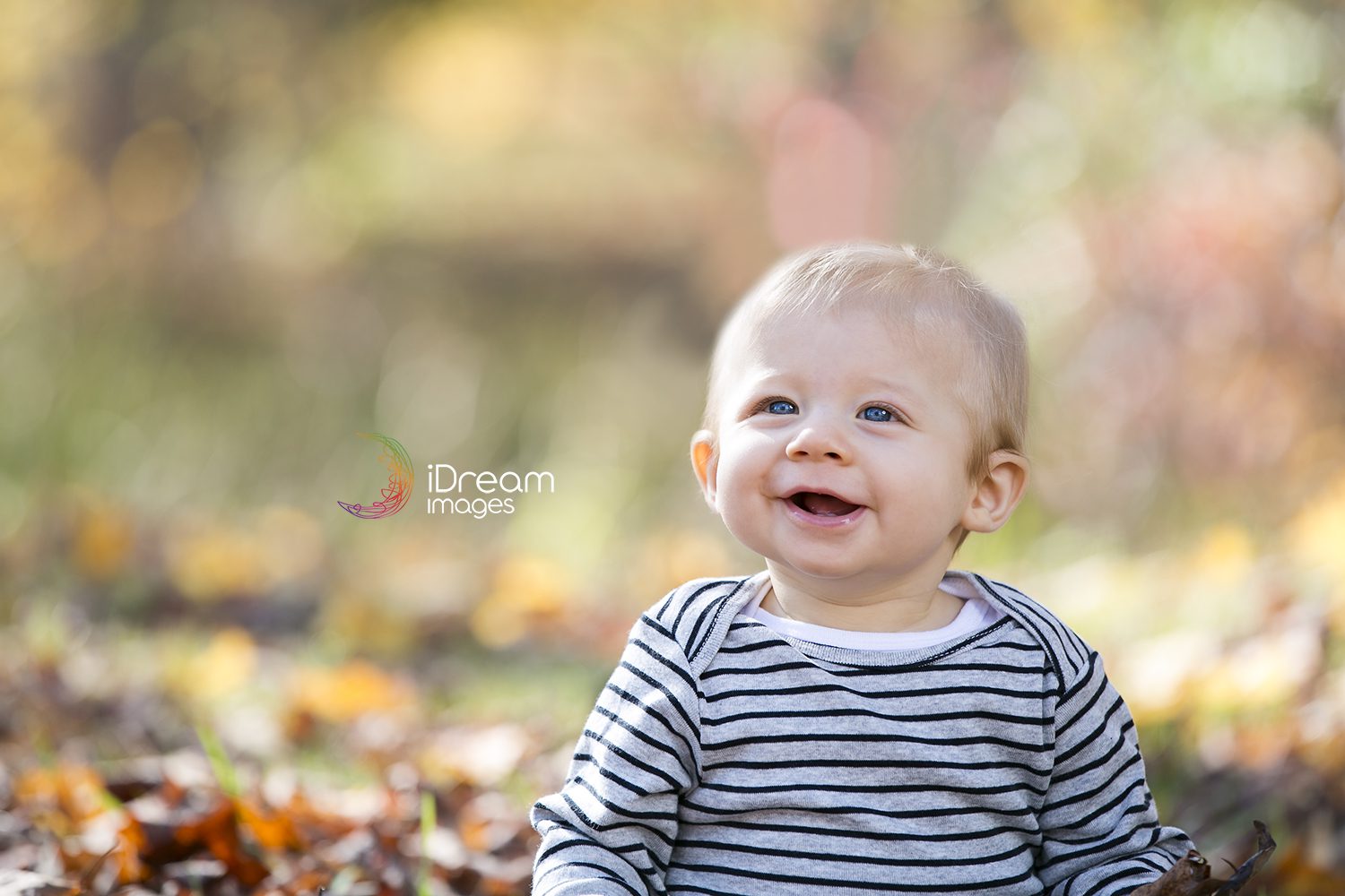 Chillicothe Ohio Photographer